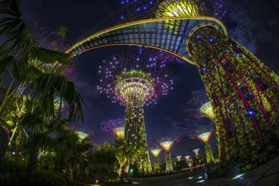 Royals visit Singapores new super gardens